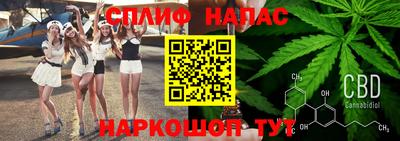 МДПВ Канаш