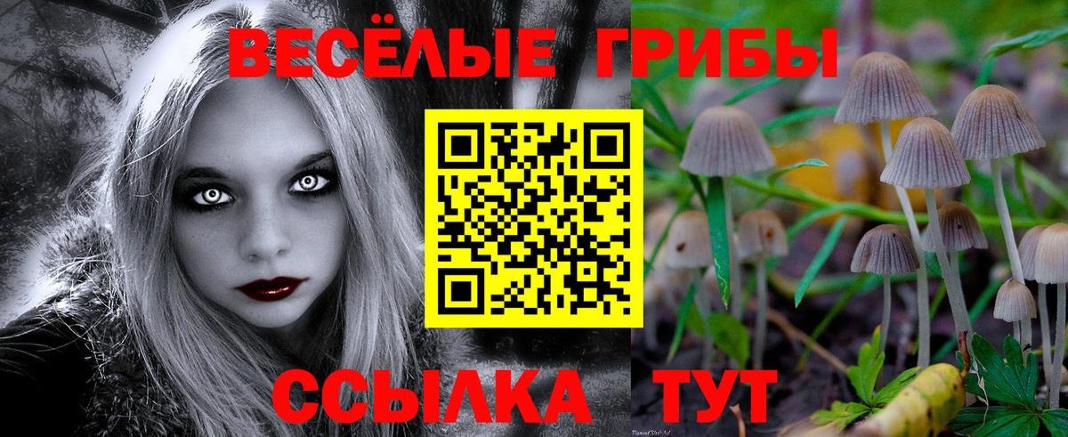 Кропоткин  Псилоцибиновые грибы MAGIC MUSHROOMS  Вход с VPN 